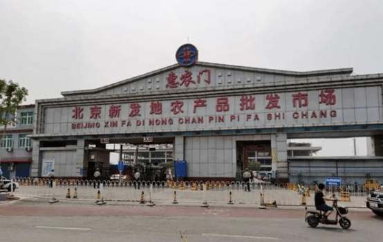 保定六月新增疫情下的隐秘小巷故事