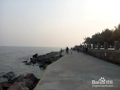 深圳湾最新通关攻略详解