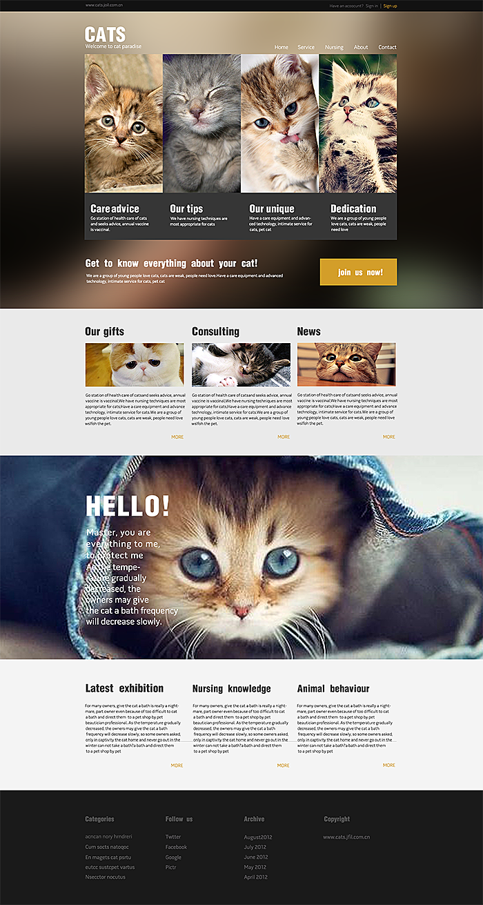 猫咪最新域名地址网站,记录猫咪的温馨日常故事