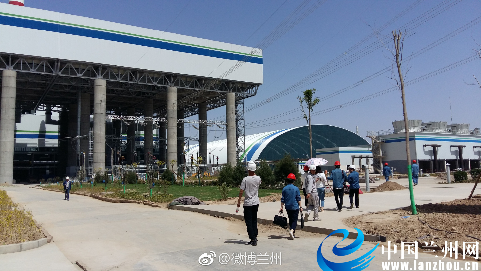 兰通厂最新动态更新