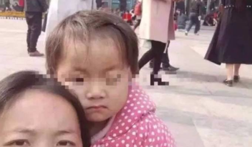 小凤雅的欢乐日常，最新消息与温馨小故事回顾