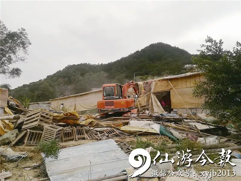 郊尾最新消息,郊尾最新消息，一种观点的分析与阐述