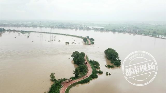 江西大水最新消息,科技巨浪展现守护家园的新力量