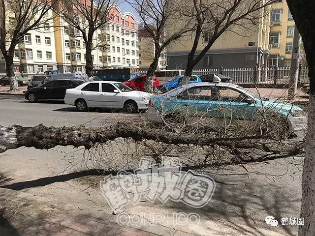 齐齐哈尔大风实时更新，最新消息汇总