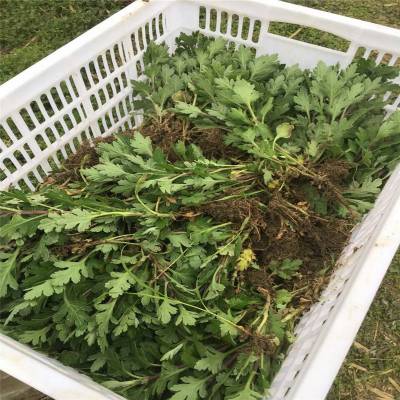 荣乌高速公路新线 第246页