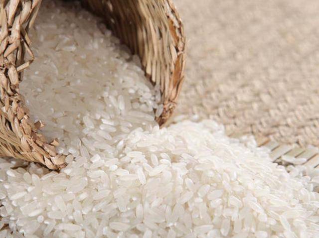 菜油最新消息更新,行业动态与市场动态速递