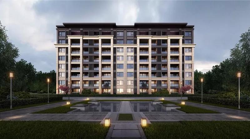 仙林东最新动态更新