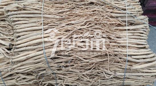 党参价格走势分析，最新党参价格动态报告