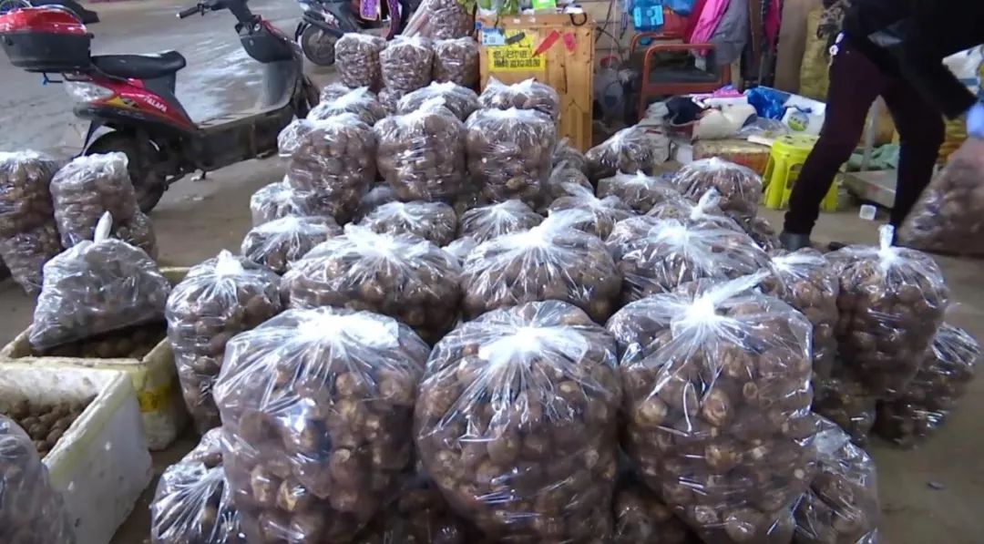 芋头市场行情深度分析