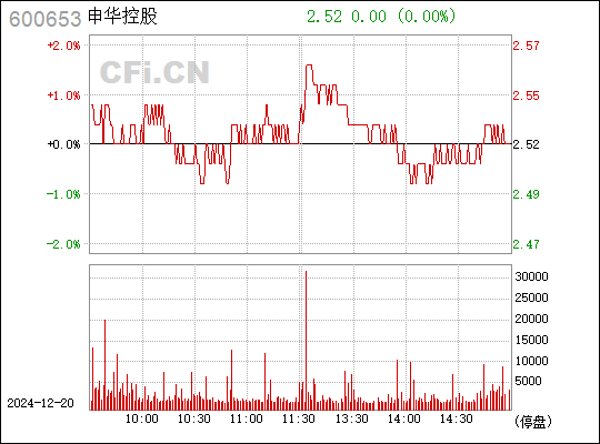 股票600653深度解析与投资策略探讨