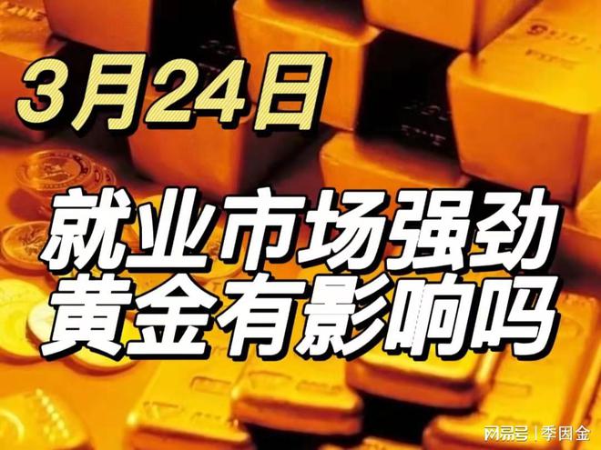 黄金市场最新动态，学习共创自信与成就的未来之路