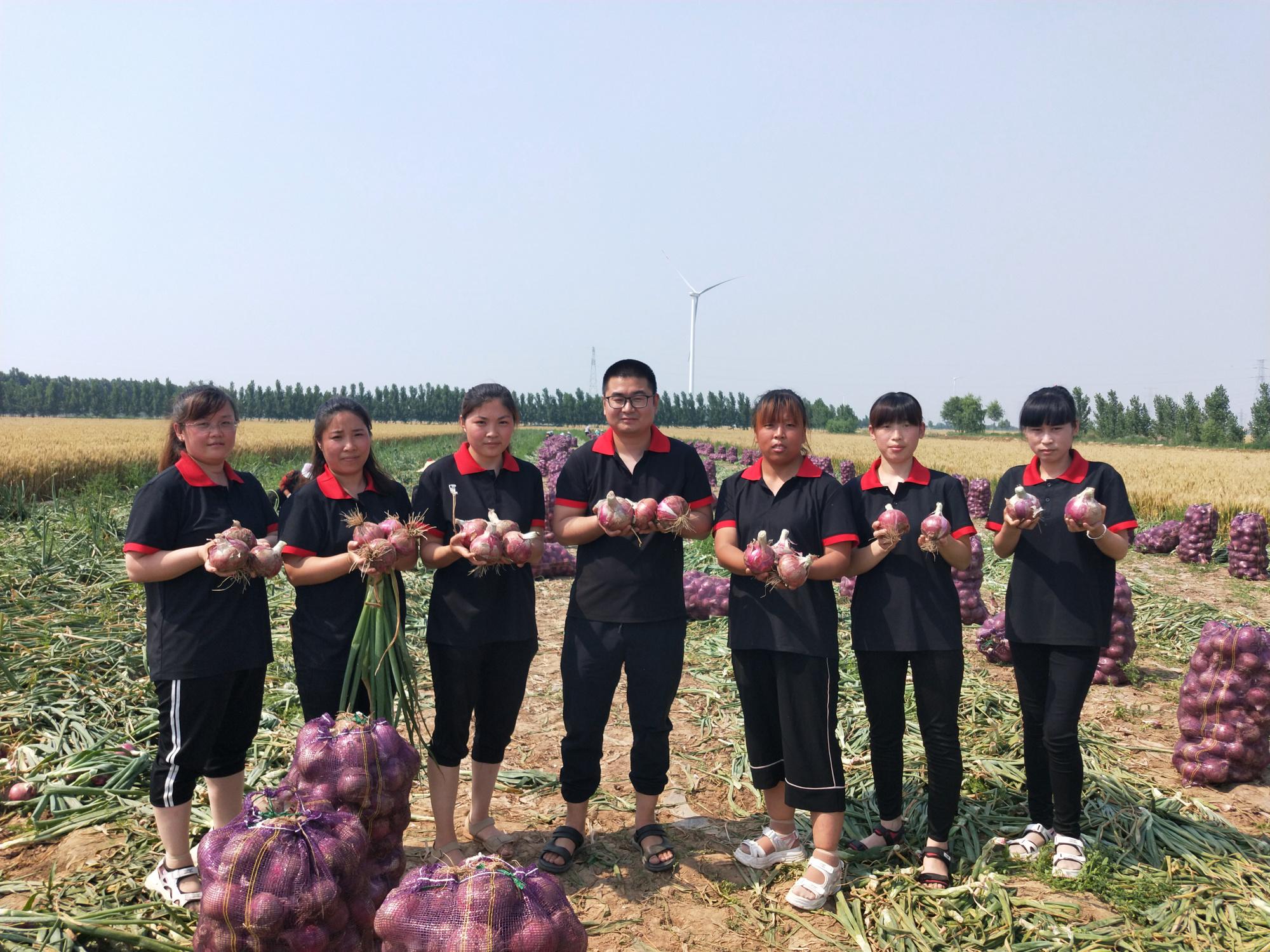 踏上一场自然美景之旅，洋大葱资讯，寻找内心的平和与宁静