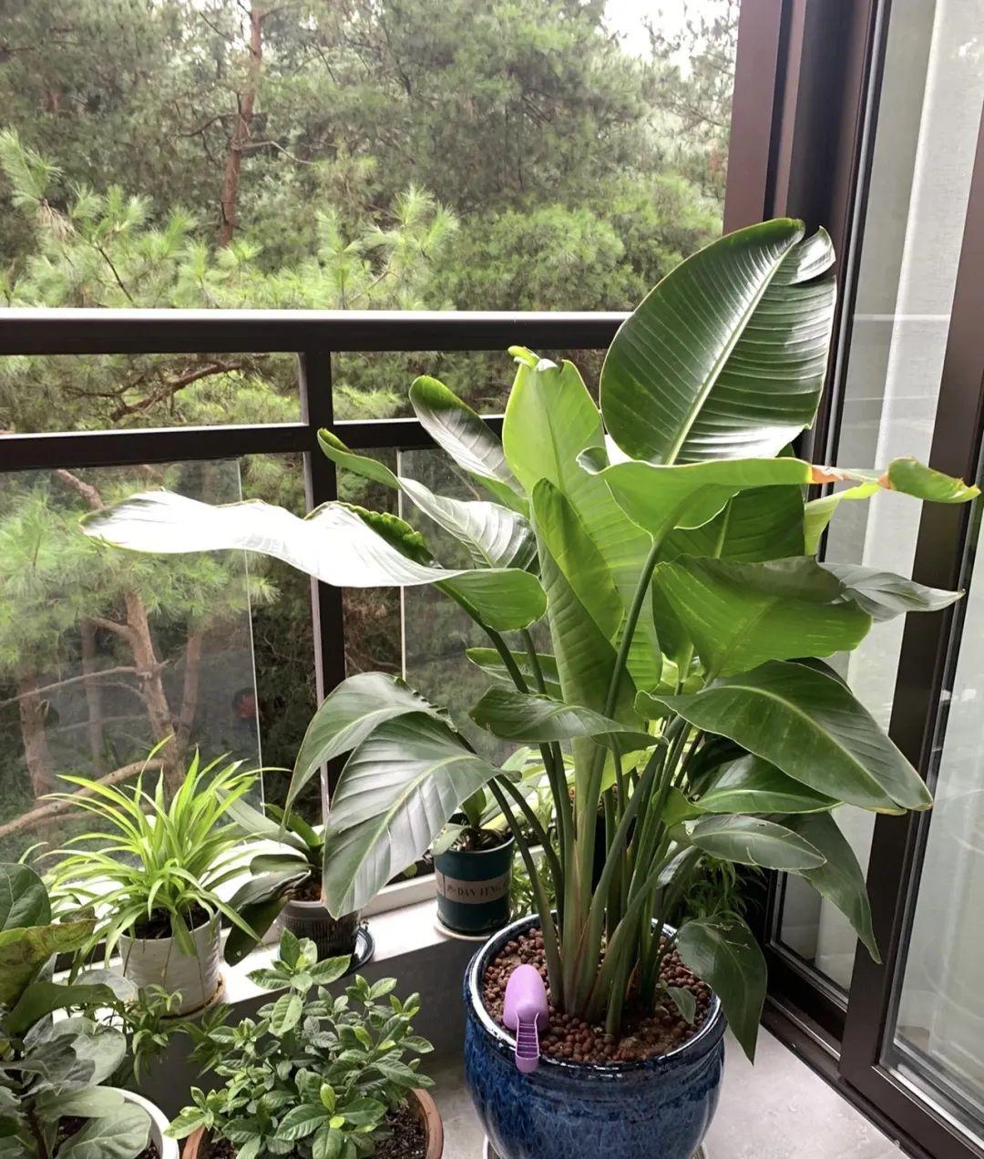 贺兰免费招聘信息全面更新，观点阐述与求职指南