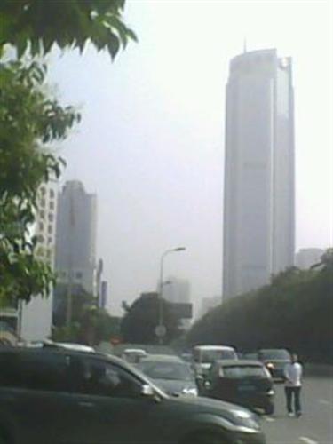 冠城大道股票行情详解，从初学者到进阶用户的操作指南与分析