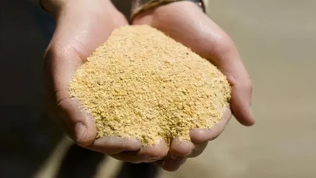 玉米豆粕行情分析与市场走势预测