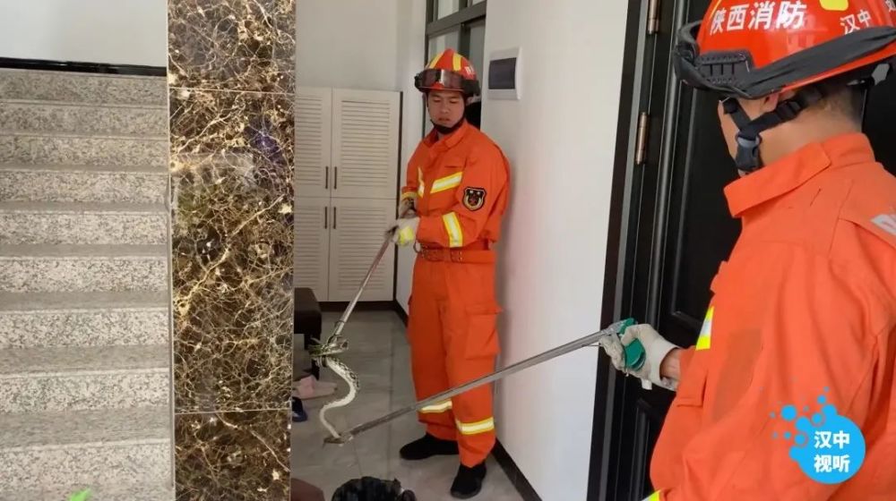 ＂澳门最准确正最精准龙门客栈内容＂的：安全保障措施_儿童版7.60