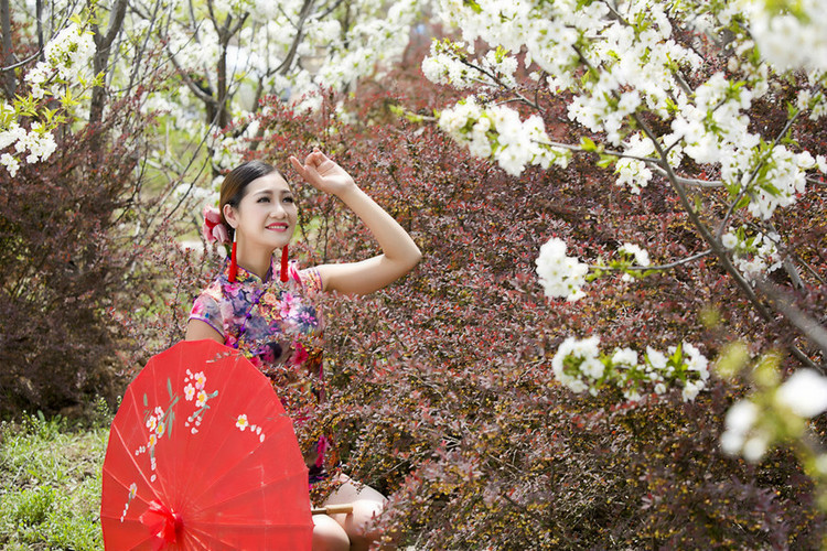 金玉娇妻最新章节，梨花情之韵