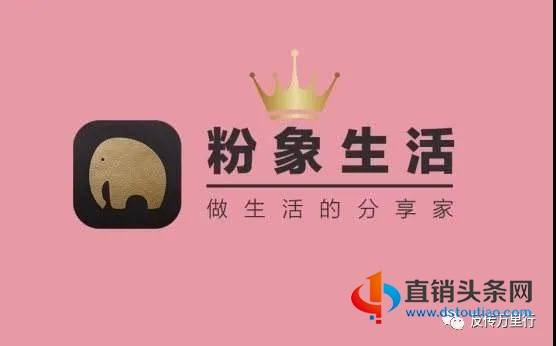 粉象生活资讯