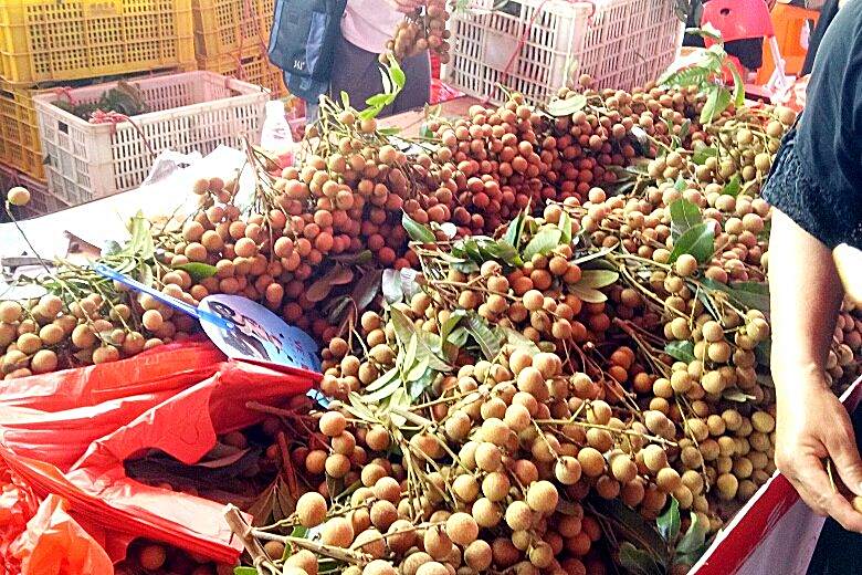 龙眼市场洞察，智慧之果的自信成长与行情展望