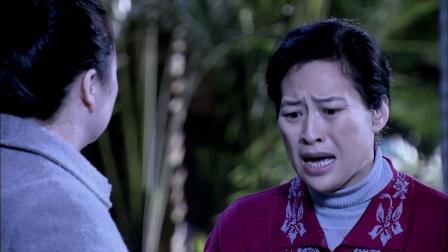 独生子电视剧，巷弄深处的独特故事揭秘