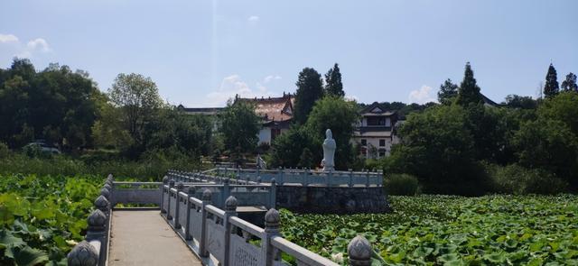 石家庄时光城最新动态报道