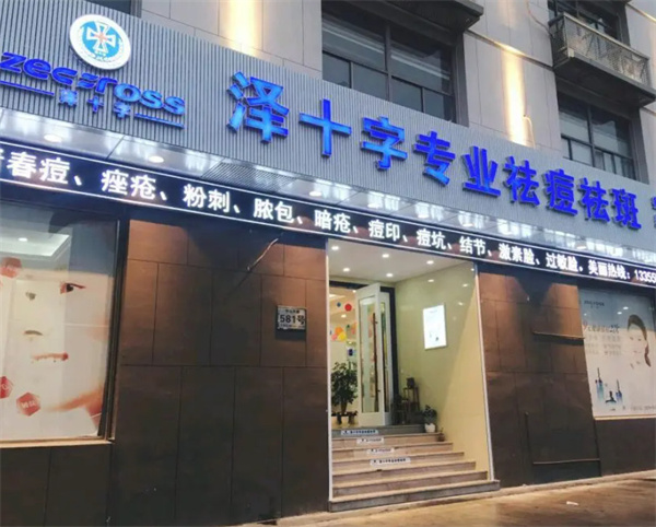 泽十字产品最新价格解读与购买指南