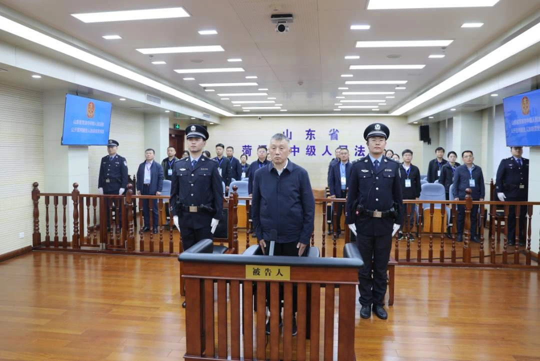 张晓霈最新动态，引领变革，探索未来之路