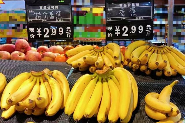 今日香蕉行情，揭示市场走势与意外友情之旅的交汇点