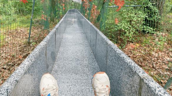虎山风景区门票价格详解与指南