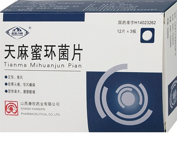 天麻蜜环菌片价格，历史背景、现状与展望