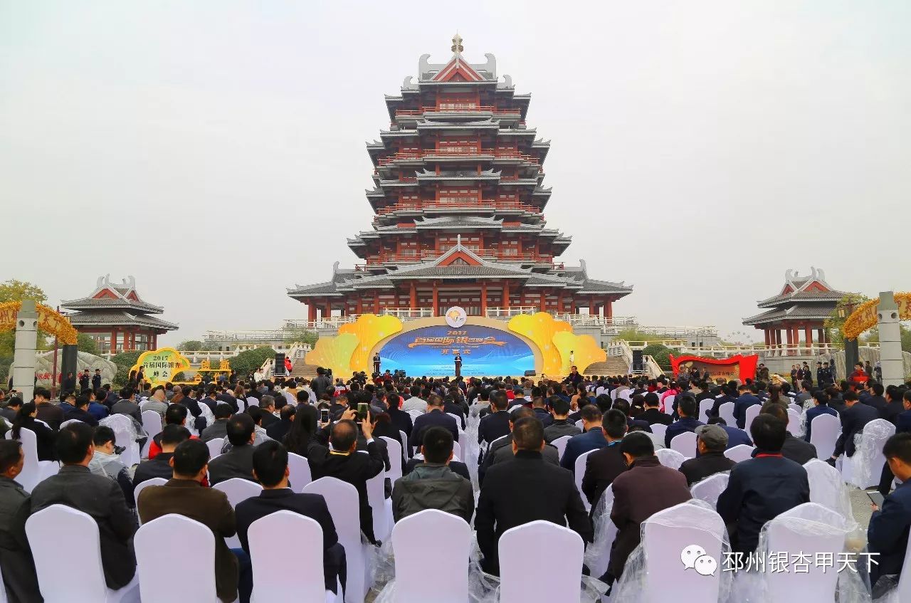 邳州论坛最新消息,邳州论坛最新消息，多元视角下的观点碰撞