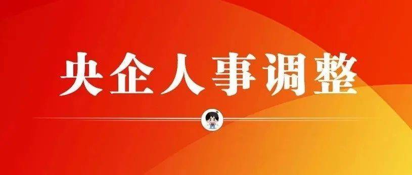 中央最新人事调整步骤详解，初学者与进阶用户指南