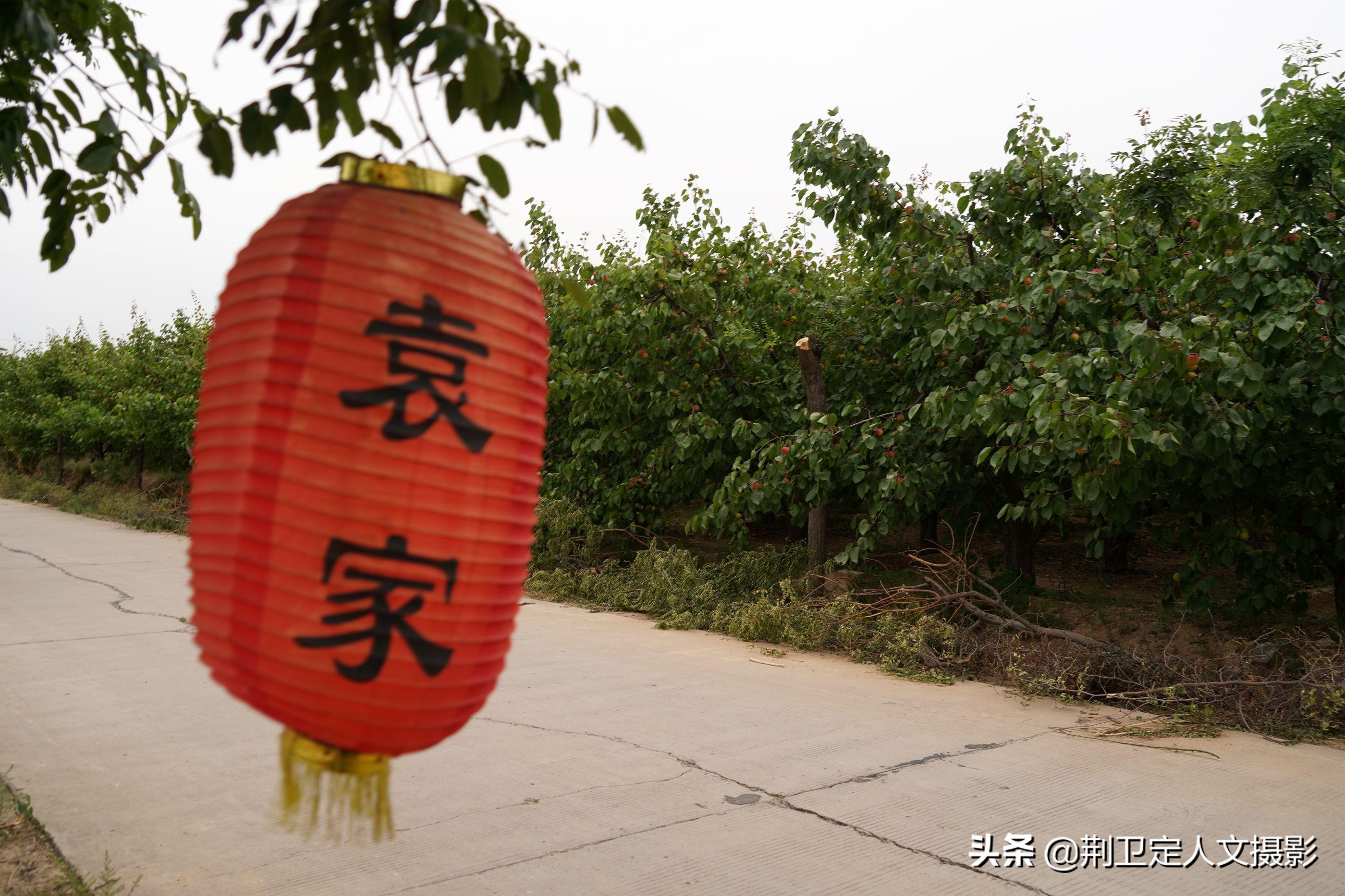 吴大娘演员成长指南，如何迈向出色演员的阶梯？