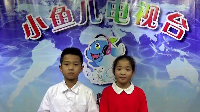 济南电视台小鱼儿最新动态，快乐使者温馨日常播报