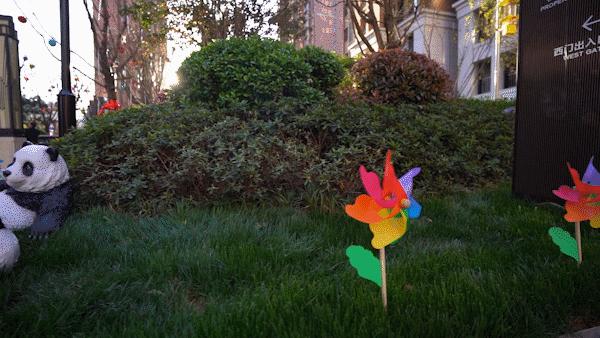 海马最新动态揭秘，探索自然美景的奇妙之旅，寻找内心宁静与平和的旅程