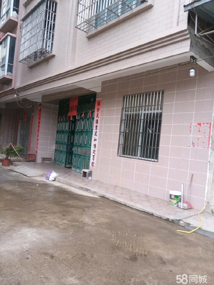 岑溪租房资讯深度回顾与洞察