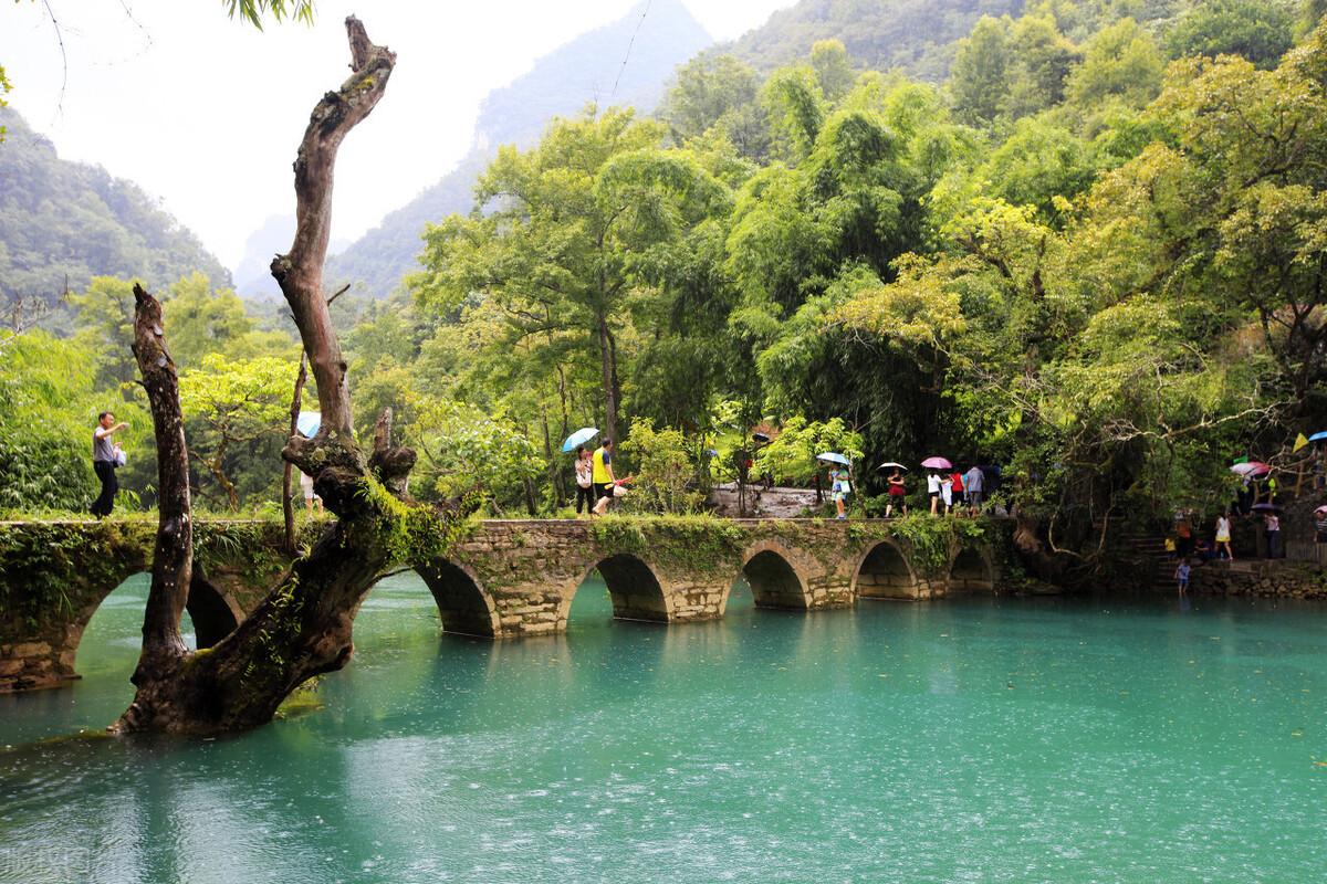 荔波最新职位招聘,变化中自信,学习成就未来之路