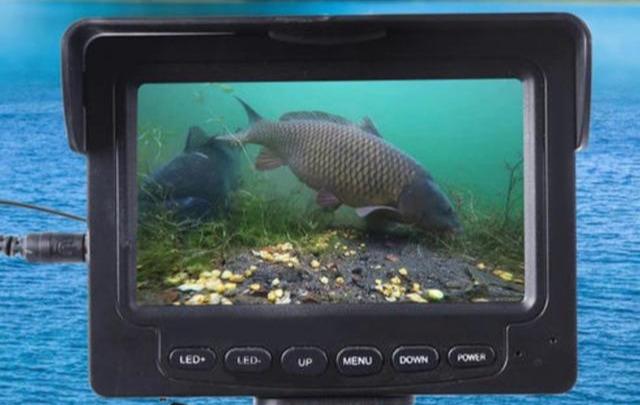 最新锚鱼技巧与操作指南，一步步掌握锚鱼技巧的视频教程