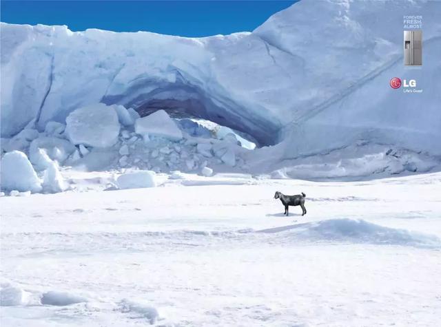 四极地最新深度解析与观点阐述