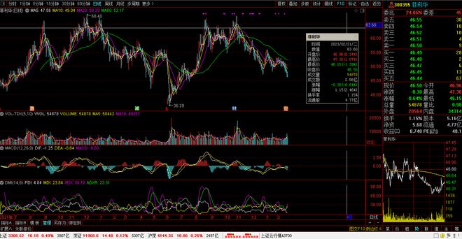 鸿合股票，小巷中的美食秘境探索之旅