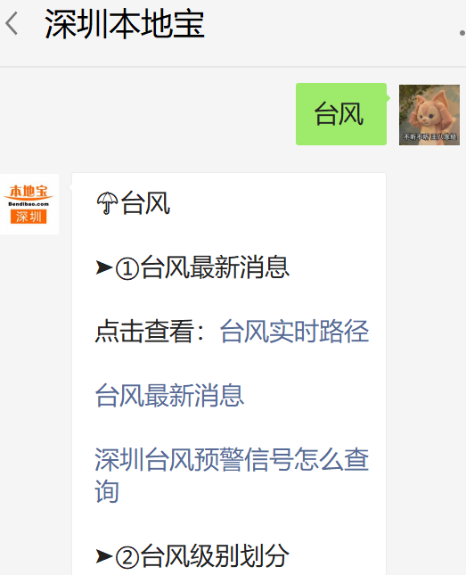 深圳台风最新动态，逆风成长与学习的旅程