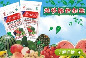 红四方复合肥最新价格,红四方复合肥最新价格,小巷中的秘密花园,探索一场别样的农资之旅!