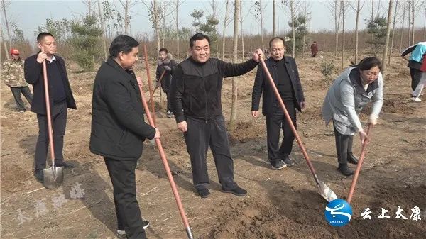 太康县王国玺最新动态,科技革新引领生活变革