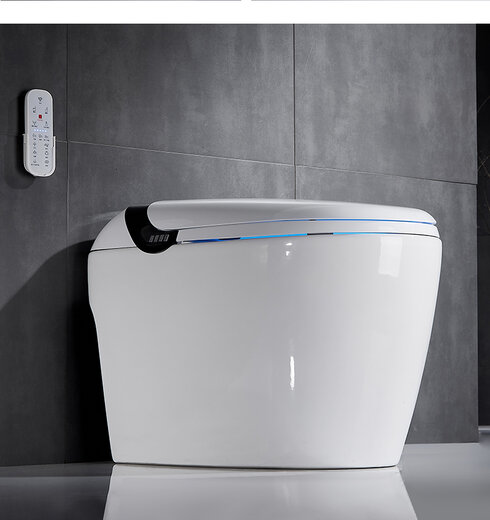 智能马桶价格揭秘,成就梦想,变化、学习与自信的价格探索