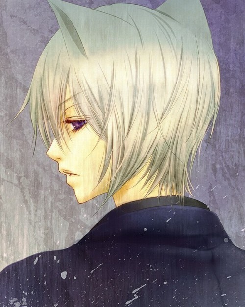 时尚魅力与独特个性的完美结合,狐狸动漫头像男风采展示