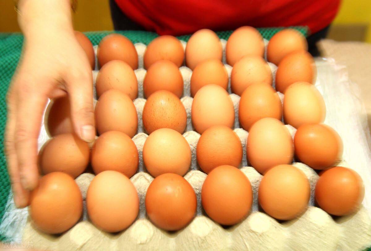 云南今日鸡蛋价格行情,云南今日鸡蛋价格行情——科技引领新纪元,智能体验鸡蛋行情
