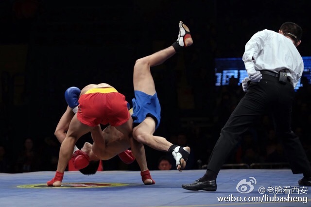 散打视频实战比赛视频,散打视频实战比赛视频，多维度视角下的观点分析