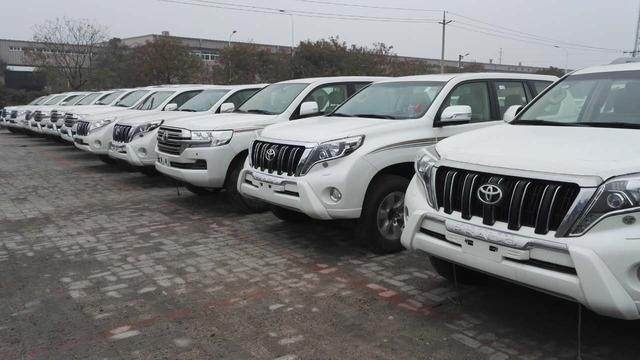 霸道最新版，潮流引领，独特魅力尽显