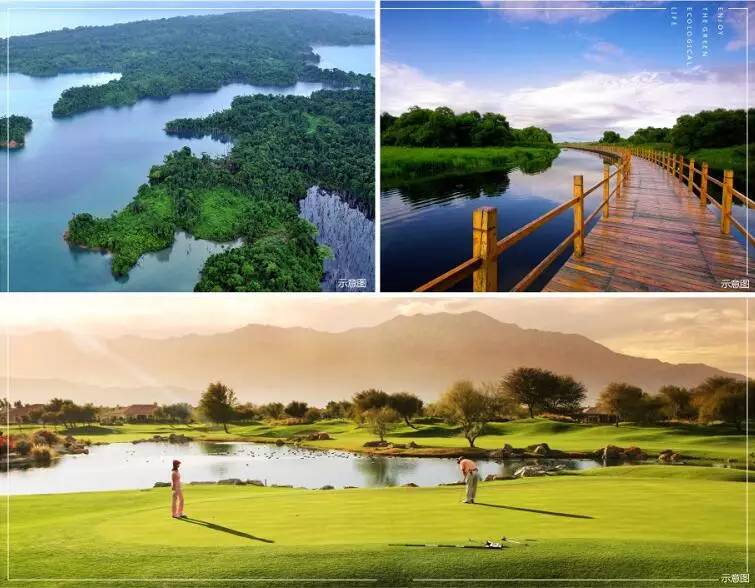 梅冲湖湿地公园最新进展更新