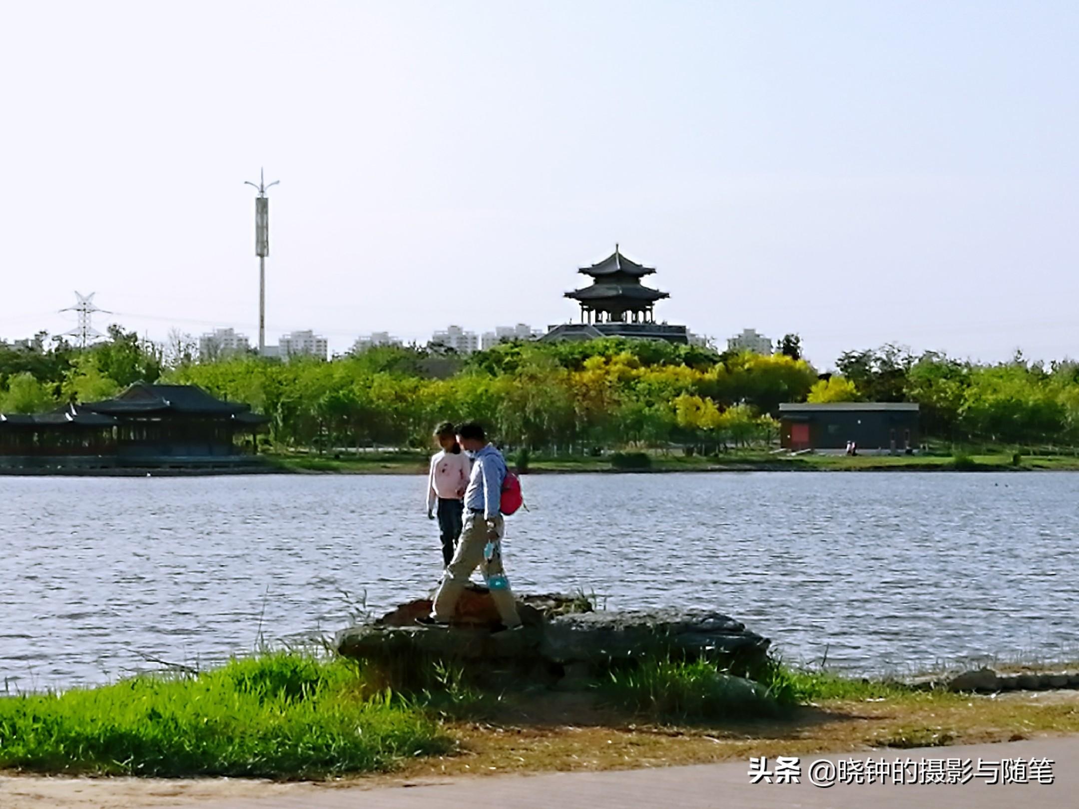 水西庄公园最新动态